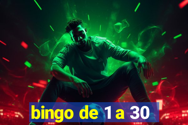 bingo de 1 a 30