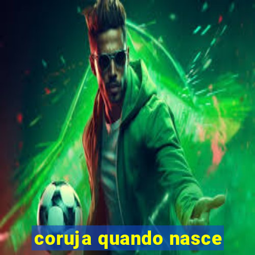 coruja quando nasce