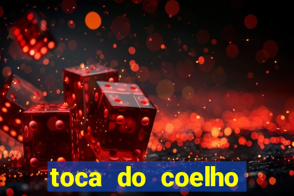 toca do coelho mogi das cruzes