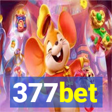 377bet