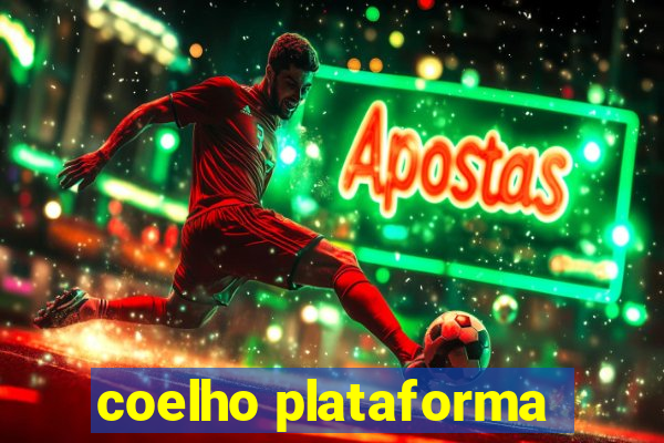 coelho plataforma