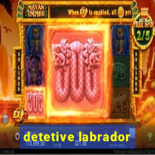 detetive labrador