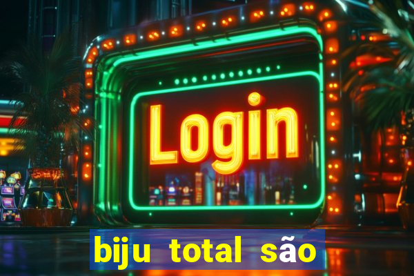 biju total são paulo - sp