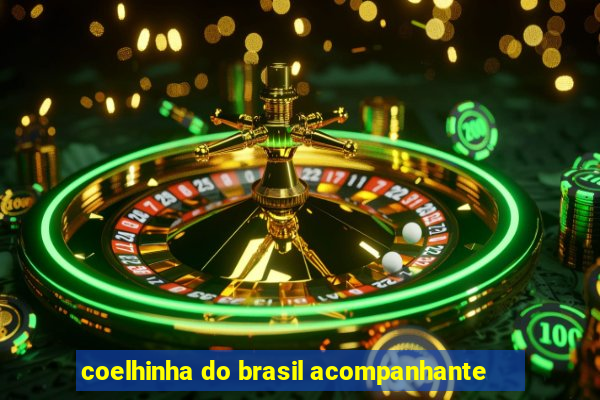 coelhinha do brasil acompanhante