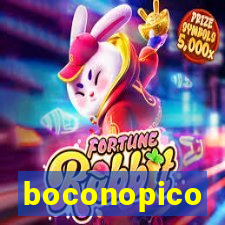 boconopico