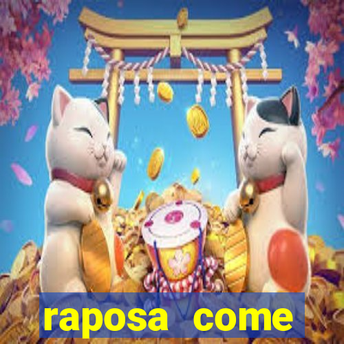 raposa come gavi茫o corinthians