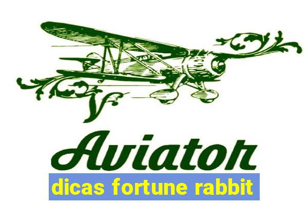 dicas fortune rabbit