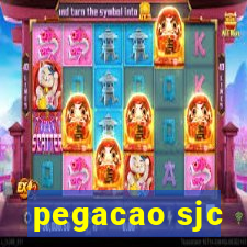 pegacao sjc