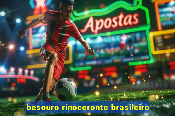 besouro rinoceronte brasileiro