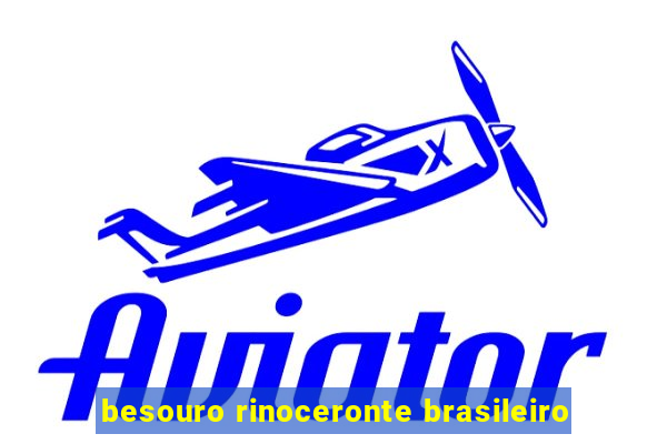 besouro rinoceronte brasileiro