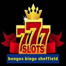 bongos bingo sheffield