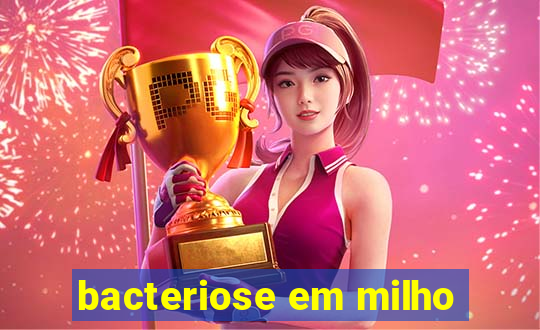 bacteriose em milho