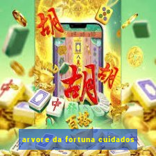 arvore da fortuna cuidados