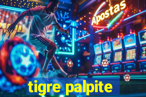 tigre palpite