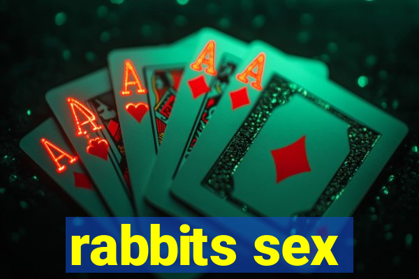 rabbits sex