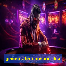 gemeos tem mesmo dna