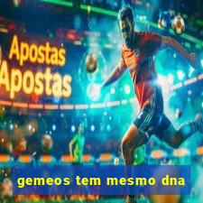 gemeos tem mesmo dna