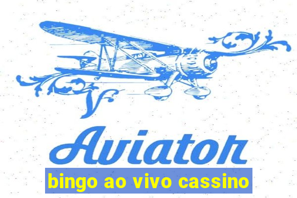 bingo ao vivo cassino