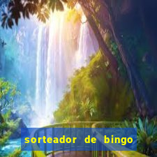 sorteador de bingo 90 bolas online