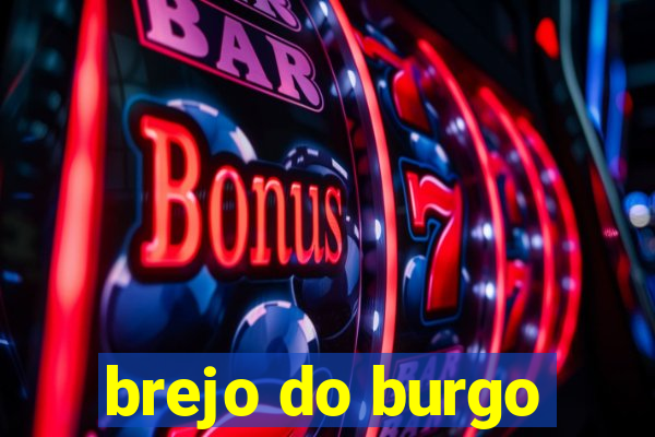 brejo do burgo