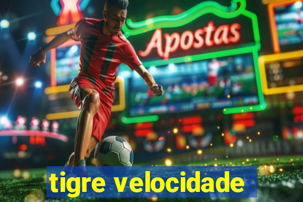 tigre velocidade