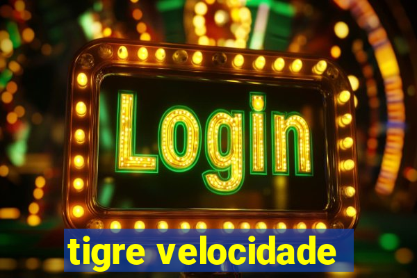 tigre velocidade