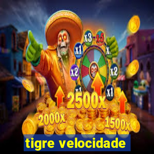 tigre velocidade