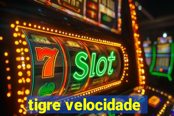 tigre velocidade