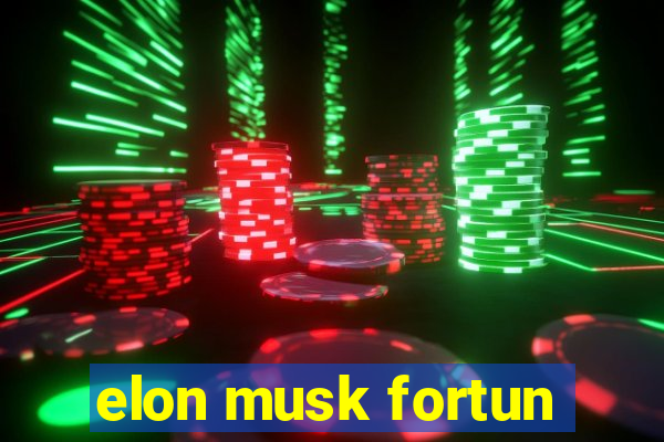 elon musk fortun