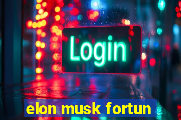 elon musk fortun