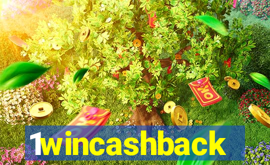 1wincashback