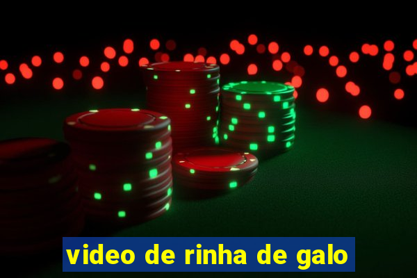 video de rinha de galo