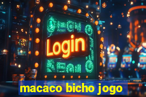 macaco bicho jogo