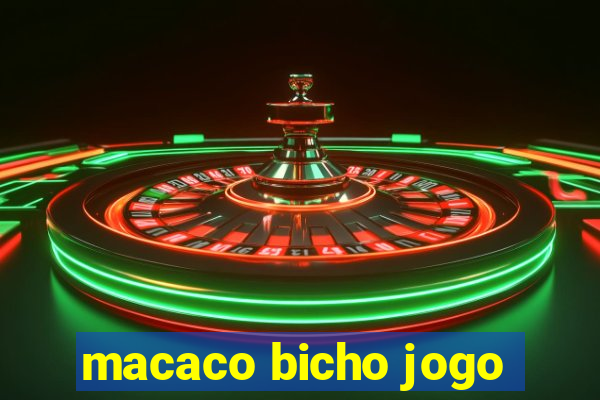 macaco bicho jogo