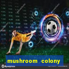 mushroom colony stardew valley