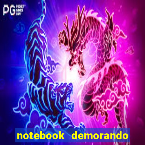 notebook demorando para ligar tela preta