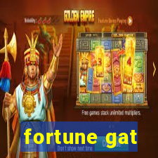 fortune gat