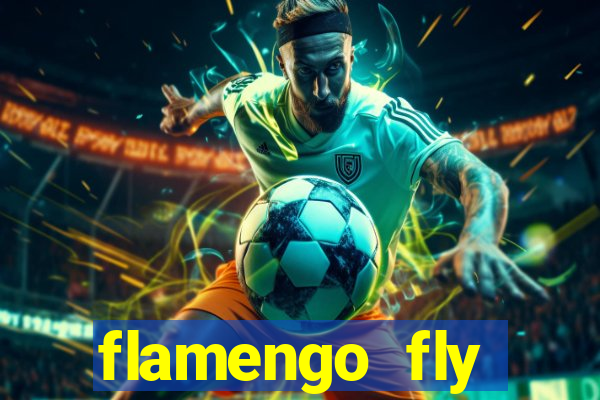 flamengo fly emirates ultimas noticias