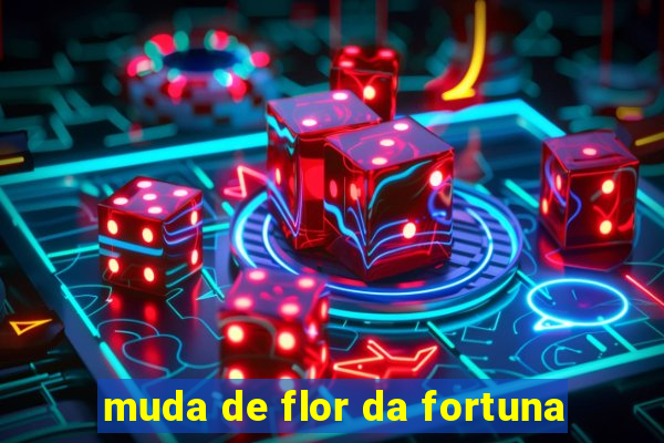 muda de flor da fortuna