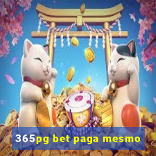 365pg bet paga mesmo