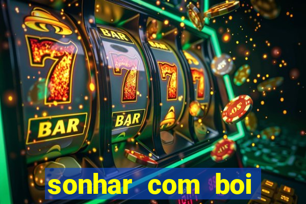 sonhar com boi jogo do bicho