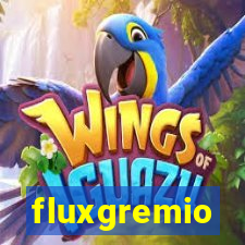 fluxgremio