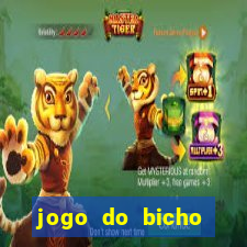 jogo do bicho aposta certa