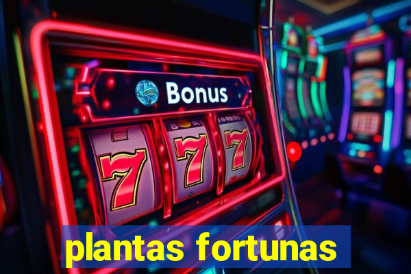 plantas fortunas