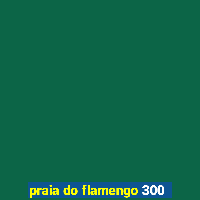 praia do flamengo 300