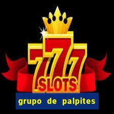 grupo de palpites de futebol telegram