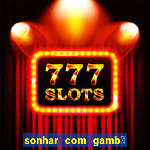 sonhar com gamb谩 jogo do bicho