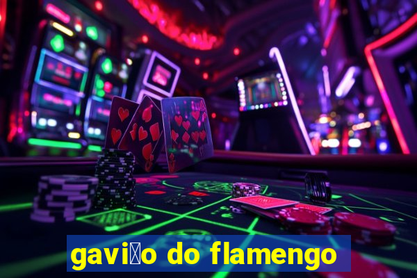 gavi茫o do flamengo