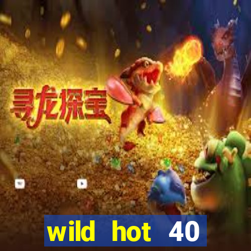 wild hot 40 christmas slot