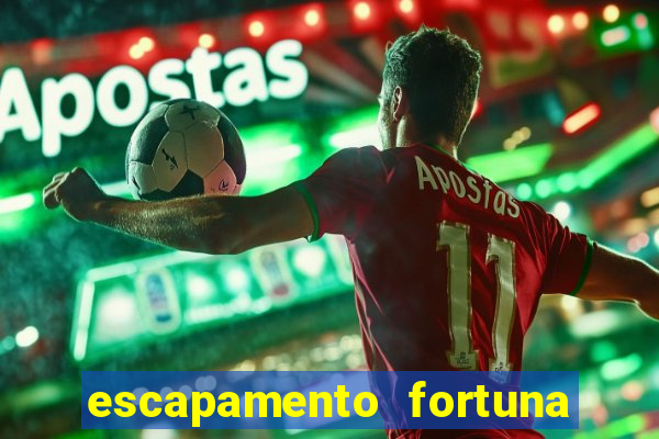 escapamento fortuna twister 250